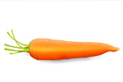 Photoshop制作一个逼真的新鲜红萝卜