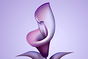 Photoshop制作漂亮的紫色3D花朵