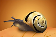 Photoshop制作一只可爱的小蜗牛