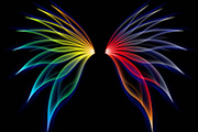 Photoshop制作漂亮的彩色光影翅膀