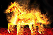 Photoshop打造一匹燃烧的火马