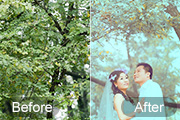 Photoshop给绿树下的情侣加上柔美的青绿色