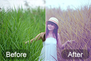 Photoshop把绿色芦苇中的美女照片转为秋季效果